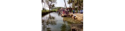 குச்சனூர்